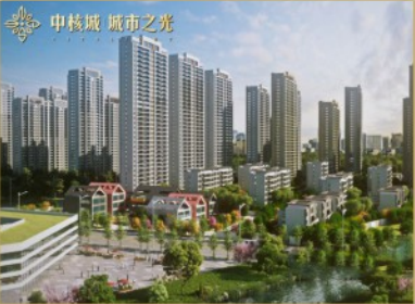 成功案例